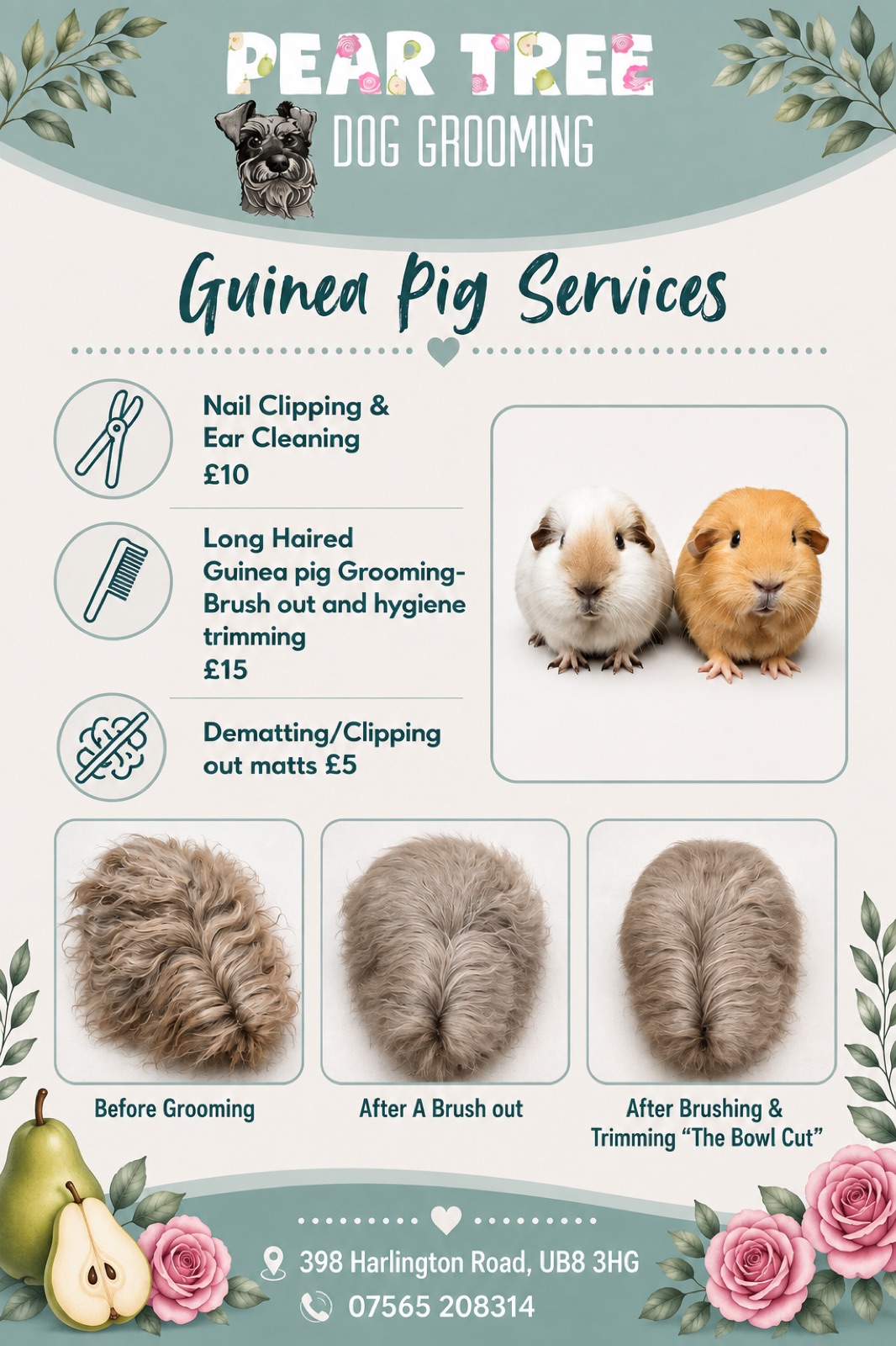 Pear Tree Dog Grooming in Uxbridge London